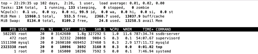 服务器已连续运行100天