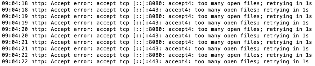 Golang 服务之坑：too many open files